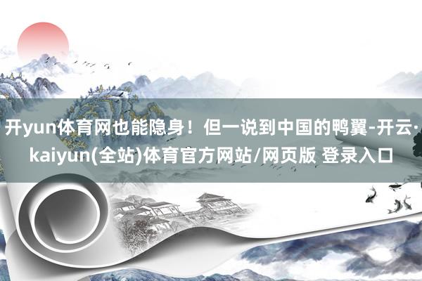开yun体育网也能隐身！但一说到中国的鸭翼-开云·kaiyun(全站)体育官方网站/网页版 登录入口