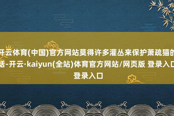 开云体育(中国)官方网站莫得许多灌丛来保护萧疏猫的话-开云·kaiyun(全站)体育官方网站/网页版 登录入口