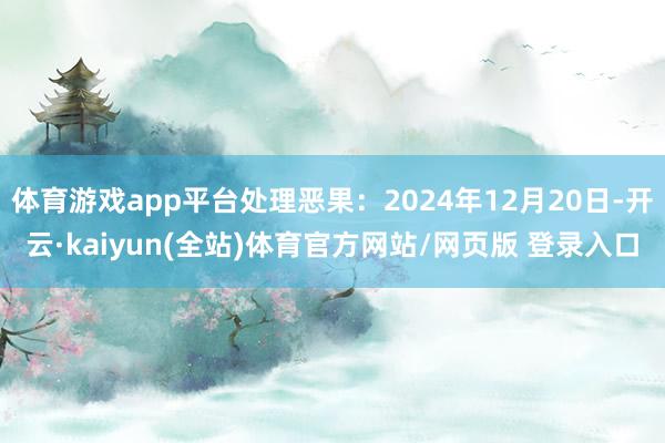 体育游戏app平台处理恶果：2024年12月20日-开云·kaiyun(全站)体育官方网站/网页版 登录入口